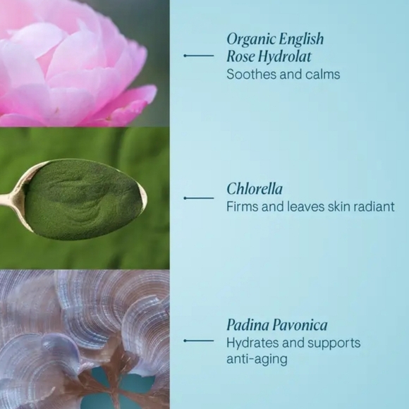 Elemis Pro-Collagen Rose Marine Cream, 15ml, New - Picture 5 of 6